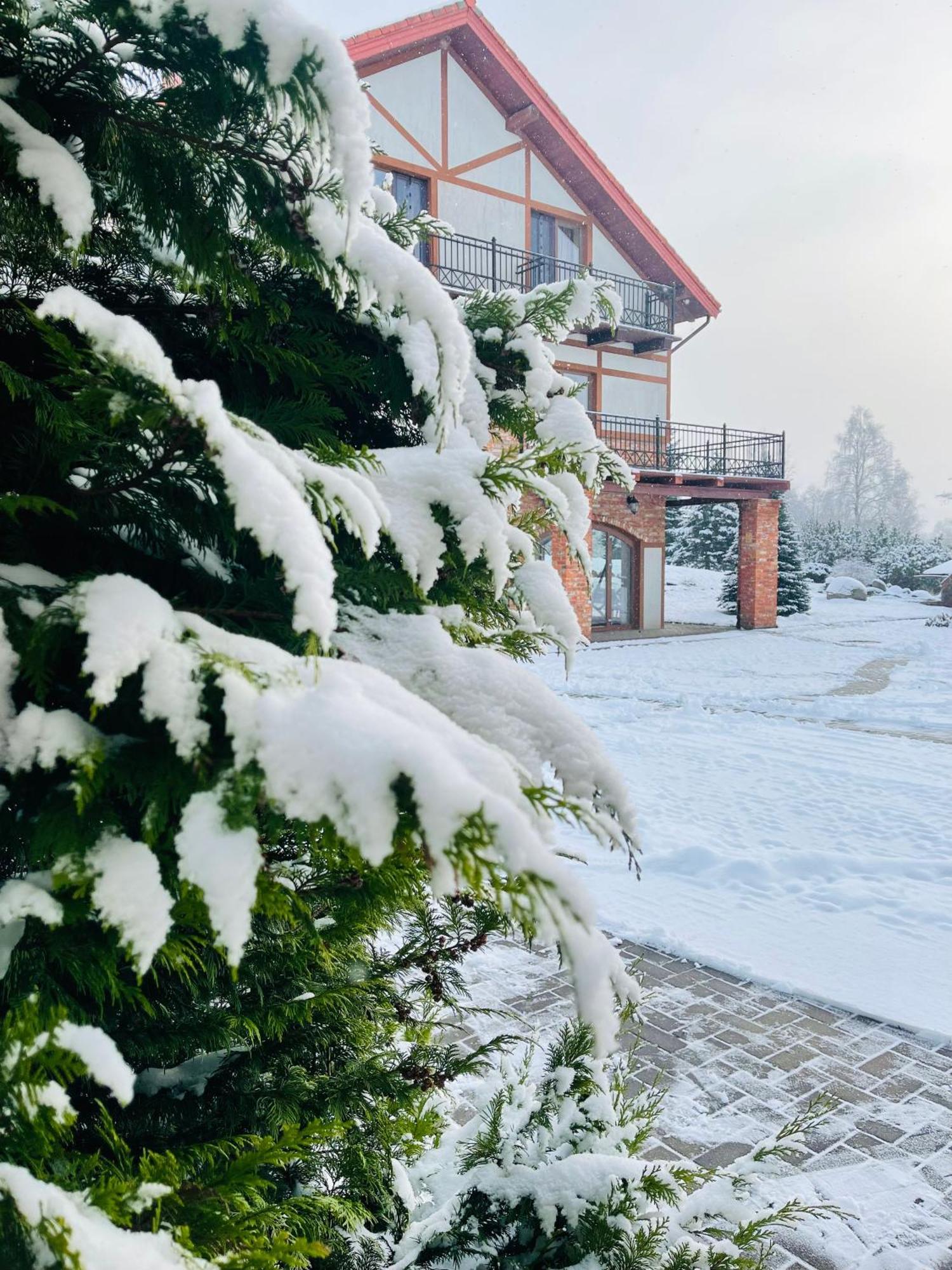 Jurvinge Hotel Zadvainai Exterior photo