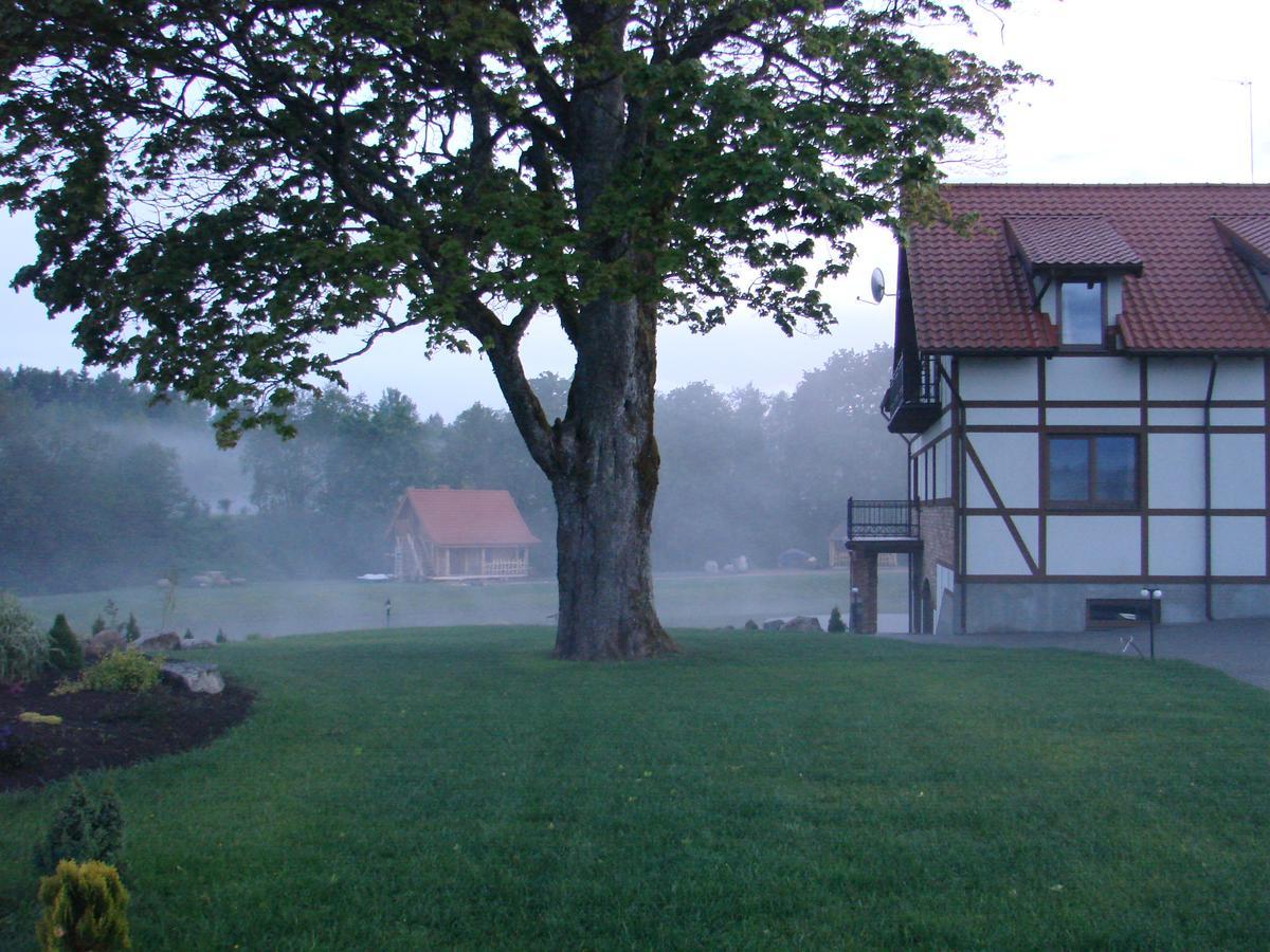 Jurvinge Hotel Zadvainai Exterior photo